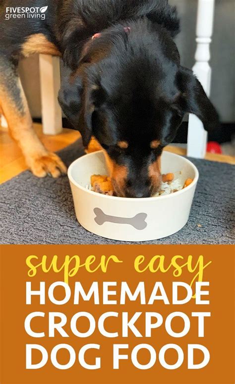 A lot of homemade dog treat recipes are also fine for human consumption! Homemade Crockpot Dog Food Recipe - Five Spot Green Living | Recipe in 2020 | Dog food recipes ...