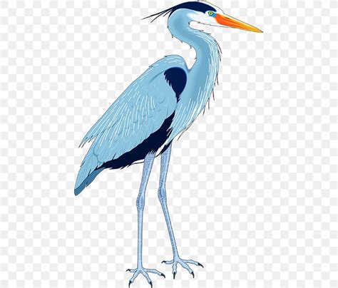 Great Blue Heron Drawing Clip Art, PNG, 459x700px, Heron, Art, Beak