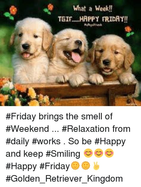 What A Week T Happy Friday Friday Brings The Smell