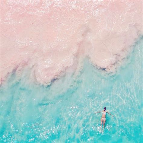Pink Sands Beach In The Bahamas Popsugar Smart Living Pink Sand