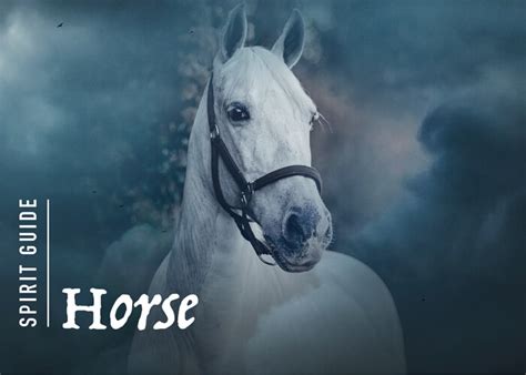 The Horse Spirit Animal A Complete Guide To Meaning And Symbolism
