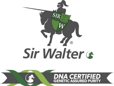 Unfortunately, like patents, these only last a what this means for the consumer is that any turf grower can call any variety of grass after australia's most popular variety, sir walter, even if it is not. Can I grow Sir Walter Buffalo from seed? - Shantana ...