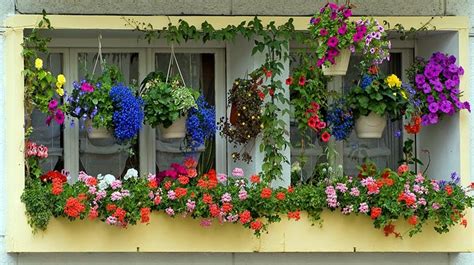 10 bundles artificial flowers outdoor fake flowers for home decoration, uv resistant faux plastic greenery shrubs plants for hanging garden porch window box décor in bulk wholesale, 5 colors. 65 Beautiful Flower Box Ideas (Pictures) - Designing Idea