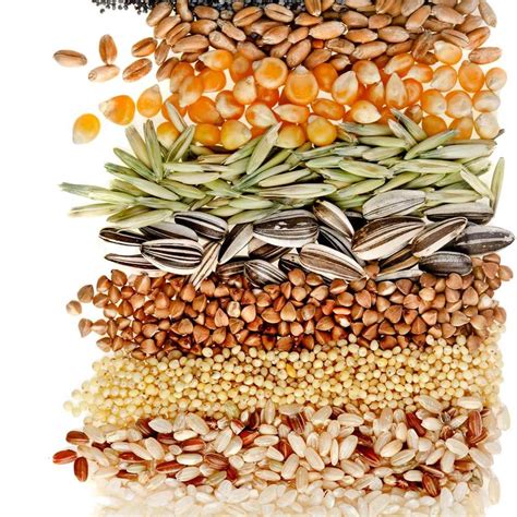 Los Diez Cereales Naturales Más Saludables El Nuevo Día