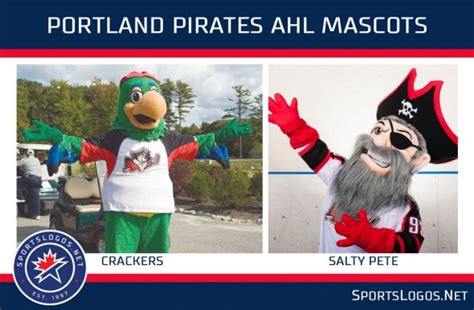 Beacon The Puffin Introduced As Maine Mariners Mascot Sportslogosnet
