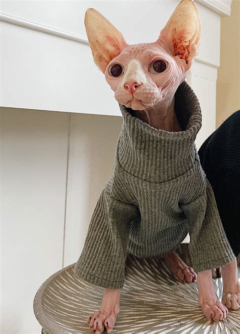 Hairless Cat Clothing Cat Clothes Winter Thick Cotton Etsy