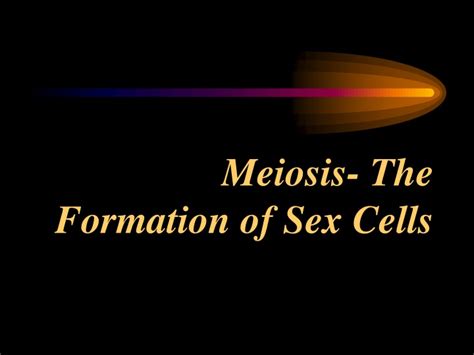 Ppt Meiosis The Formation Of Sex Cells Powerpoint Presentation Free Download Id 9241173