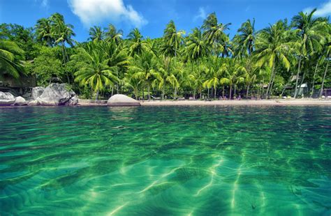 Fond d écran mer baie eau plage palmiers piscine recours tropical île lagune jungle