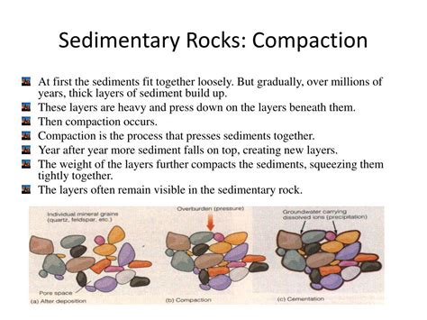 Ppt Sedimentary Rocks Powerpoint Presentation Free Download Id2247013