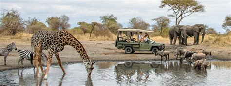 African Luxury Safari And Holidays Kimzebra Adventures And Safaris