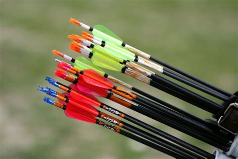 Best Carbon Arrows 2023 Reviews And Buyers Guide Mar 2023