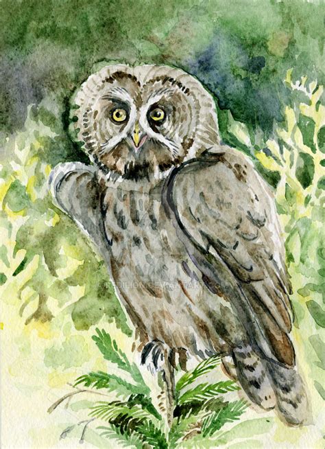 Great Grey Owl By Redilion On Deviantart