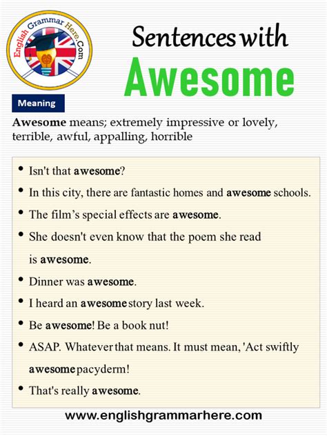 Sentences With Awesome Awesome In A Sentence And Meaning English