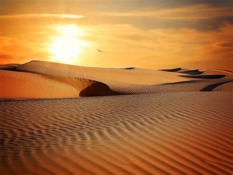 El Desierto Formación Y Tipos Ingeoexpert