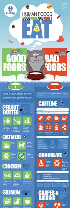 Dogs should always get most of their daily nutritional requirement from a balanced, quality commercial pet food. Helpful list of foods that dogs can/can't eat :) | It's a ...