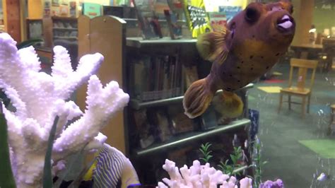 Finding Nemo Fish Tank Youtube
