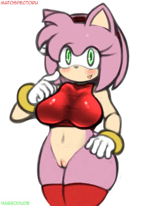 Rule Amy Rose Anthro Big Breasts Blush Bottomless Breasts Female Furry Green Eyes Habbodude