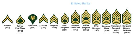 Army Enlisted Ranks Explained Hot Sex Picture