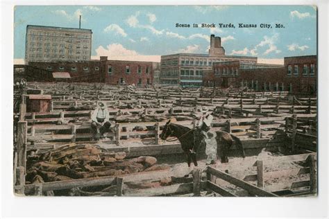 Making Meat Race Labor And The Kansas City Stockyards The Pendergast Years