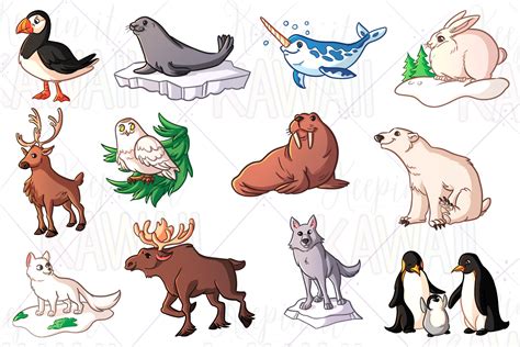 Arctic Animals Clip Art Graphic By Keepinitkawaiidesign · Creative Fabrica