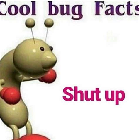 Pin On Cool Bug Facts