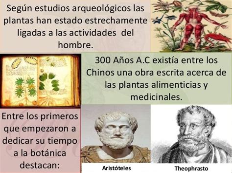 ᐈ Historia De La Botánica 🪴