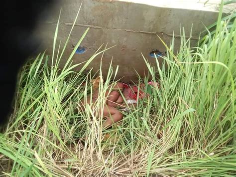 shocker woman s dead body dumped near church after being allegedly r ped to death in benue