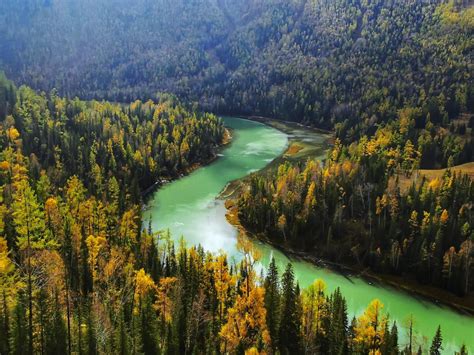 Desktop Wallpaper River Flow Aerial View Green Forest Hd Image