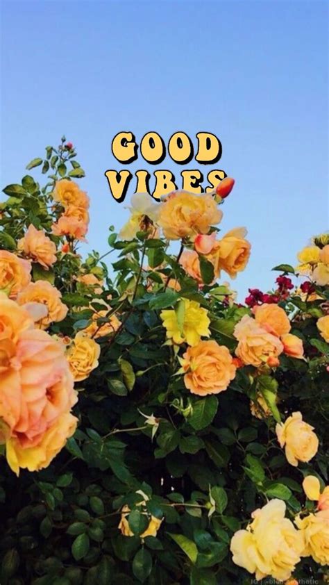 Good vibes only wallpapers backgrounds free wallpapers. Aesthetic Good Vibes Wallpaper - Largest Wallpaper Portal