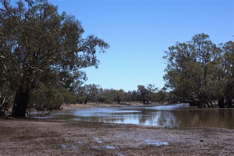Darling River Nsw
