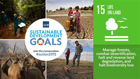 A group of people with a common ideology who try to get together to achieve and energy transformation4. Sustainable Development Goal #15: Life on Land | Manage ...