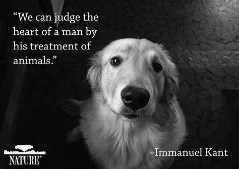 Quotes That I Love Animal Quotes Dog Quotes I Love Dogs