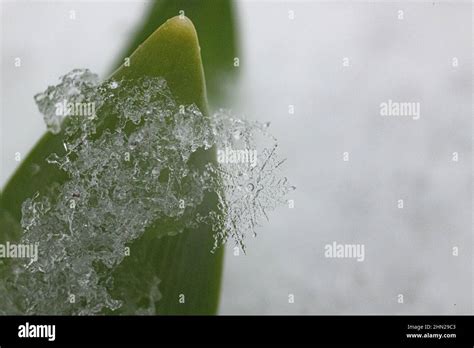 Closeup Ice Crystal Hi Res Stock Photography And Images Alamy
