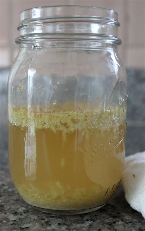 Feed Your Ginger Bug And Brew Some Diy Ginger Beer Kqed