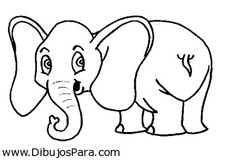 Dibujo de Elefante tierno para pintar | Dibujos de Elefantes para
