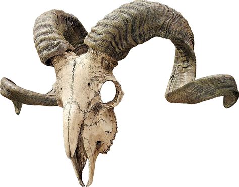 Design Toscano Corsican Ram Skull And Horns Wall Sculpture Faux