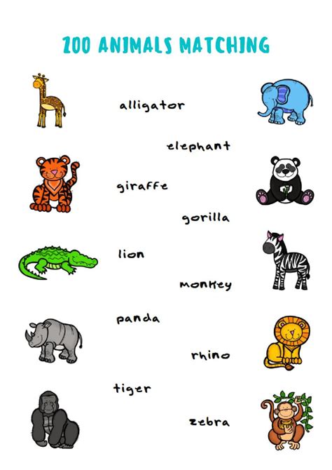 Zoo Animals Worksheets For First Grade