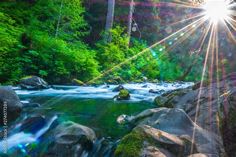 Beautiful Sunrise Hike To Sol Duc Falls In Hoh Rainforest In Olympic