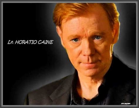 Free Download David Caruso Hd Wallpaper And Background Images In The