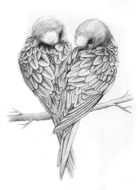 Pin By Maxie Jingles On Pencil Drawings Love Birds Drawing Bird