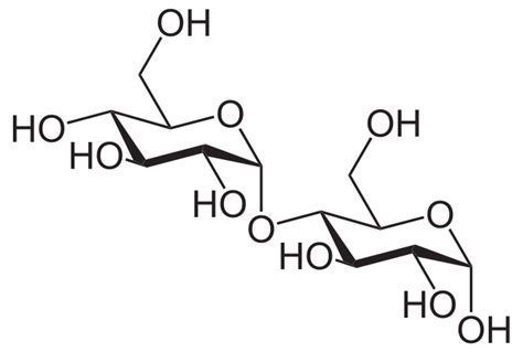 Difference Between Trehalose And Maltose Compare The Difference