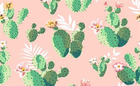 Free Download Cactus Plants Wallpaper For Walls Cacti On Pink
