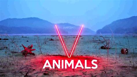 Maroon 5 Animals Instrumental And Lyrics Youtube