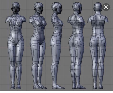 The Blueprint Character Modeling Anatomy Models Model