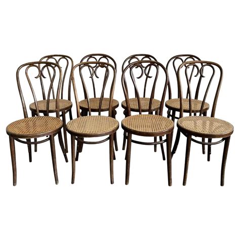 Eight Thonet Bentwood Birch Plywood Dining Chairs At 1stdibs Thonet