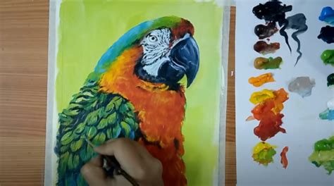 How To Paint Macaw Parrot Easy Tutorial Painting Of Birds In Acrylic