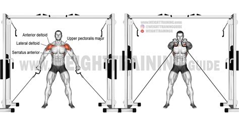 Double Cable Front Raise Exercise Guide And Video Weight Training