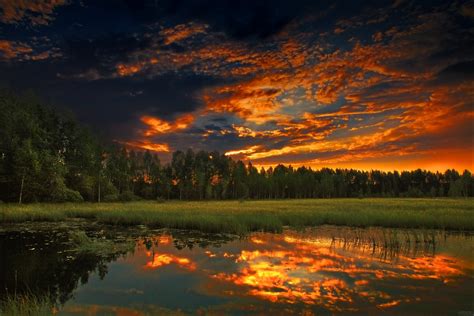 Sunset Forest Night Nature Summer Hd Wallpaper