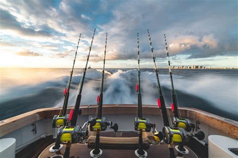 Saltwater Fishing Wallpapers And Backgrounds 4k Hd Dual Screen