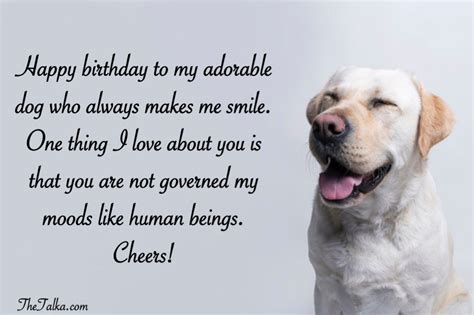 Birthday Happy Birthday Puppy Cute Happy Birthday Wishes Happy